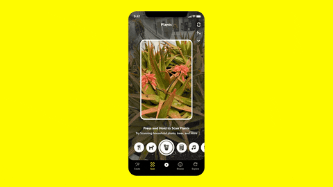 Scan de Snapchat y sus mejoras. Ahora puedes reconocer razas de perros y tipos de plantas - Blog Hola Telcel