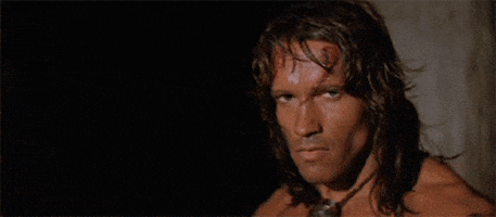 Image result for conan arnold gif