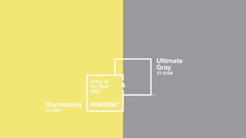Pantone Color Institute