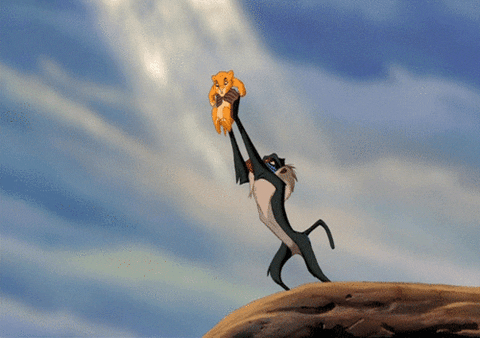 The Lion King Cat GIF