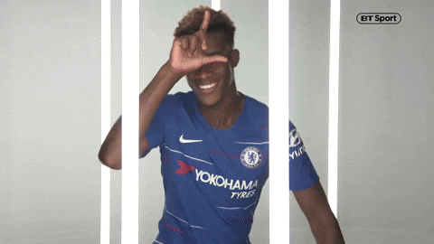 giphy.gif