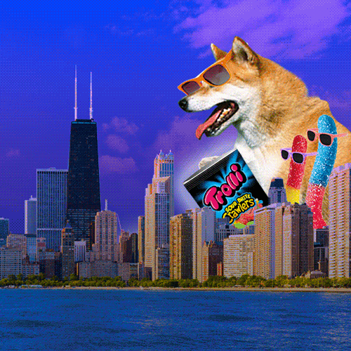 Lol Gif Sour Brite Crawlers GIF by Trolli Find & Share on GIPHY