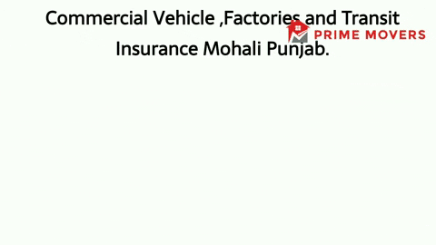99% Discounted Insurance Services Mohali