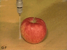 This is Not an Apple Animated Gif