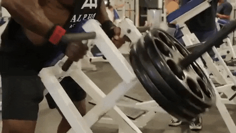 Mike Rashid How to get a strong back