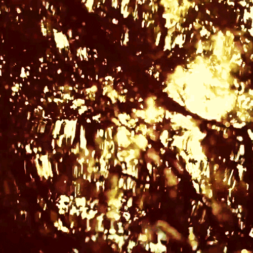 Water Waves GIFs Find & Share on GIPHY