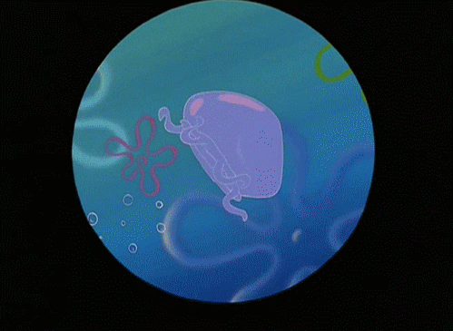 Image result for jellyfish gif spongebob