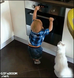 31+ Kostenlose Geburtstag Gif Lustig Whatsapp Gif