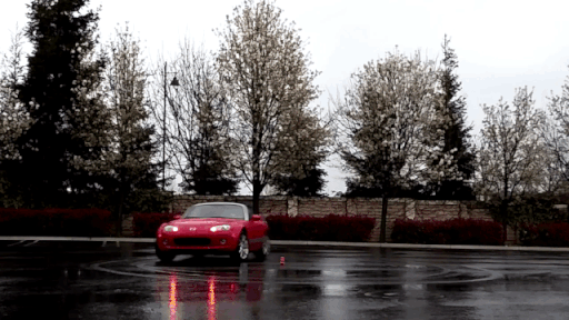 giphy-downsized-large.gif