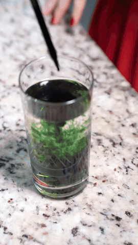 GIF 3
