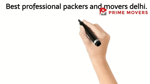 Genuine Professional Packers and Movers services Delhi