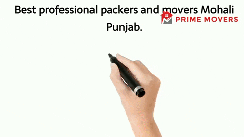 Genuine Professional Packers and Movers services Mohali