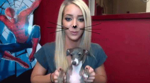 cat (8814) Animated Gif on Giphy