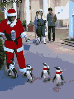 Animal Christmas GIF by Cheezburger - Find & Share on GIPHY