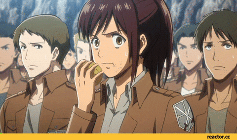 Attack On Titan GIF - Find & Share on GIPHY