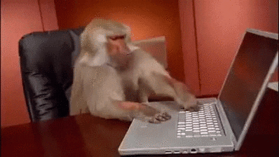 macaco nervoso usando um notebook