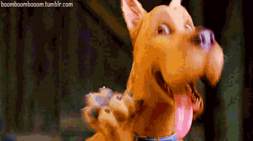 giphy.gif