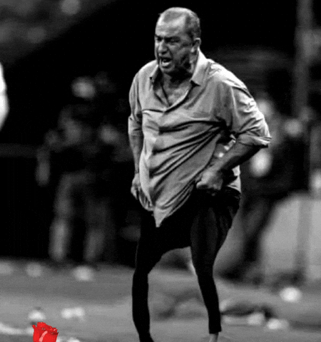 Chicken Leg Fatih Terim