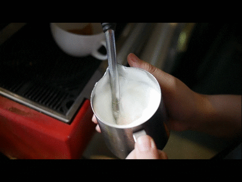 un barista fait mousser du lait dans un pichet