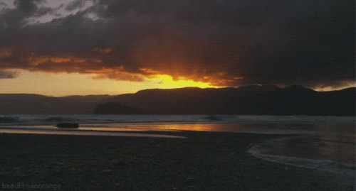 Beach GIF - Find & Share on GIPHY