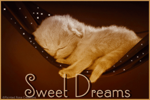Sweet Dreams GIFs - Find & Share on GIPHY