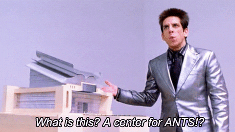confused zoolander what is this? center for ants