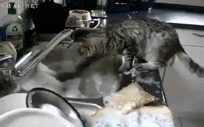 Look Cleaning GIF - Find & Share on GIPHY
