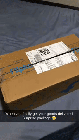 Surprise Package in animals gifs