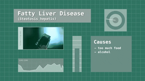 How To Reverse Fatty Liver with Diet?