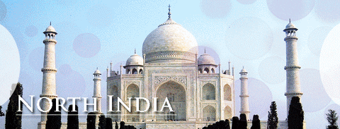 india tourism gif