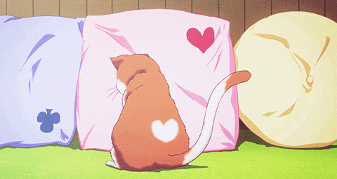 Anime Cat GIFs - Find & Share on GIPHY