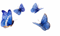Resultado de imagen para butterfly gif