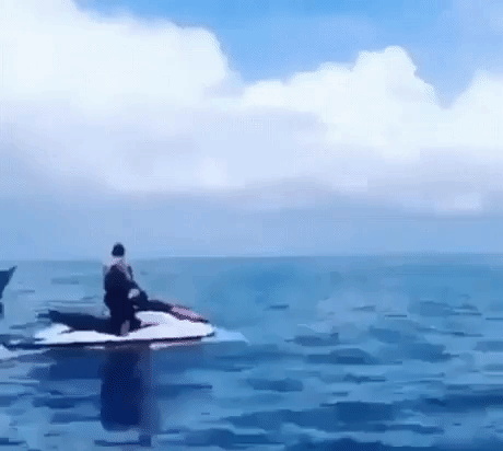 Nature is amazing in funny gifs