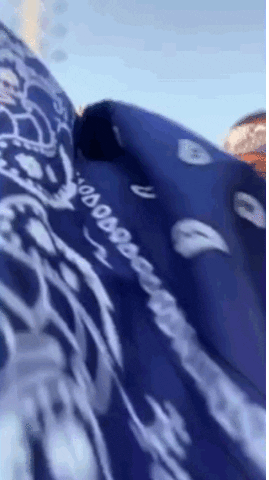 giphy.gif