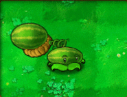 parasite in city gifs zombie girl parasite in city gifs zombie girl