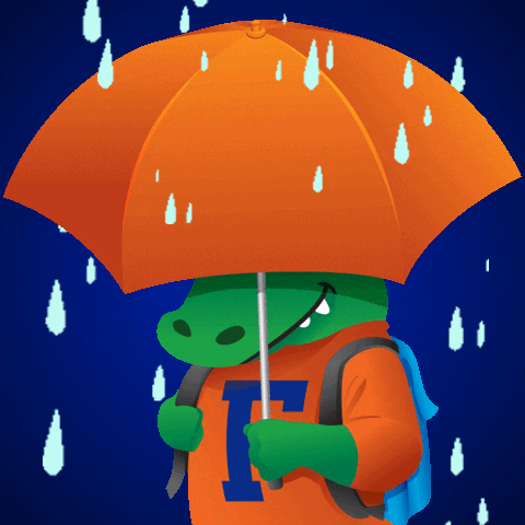 Rain Storm GIF by University of Florida - Find & Share on GIPHY