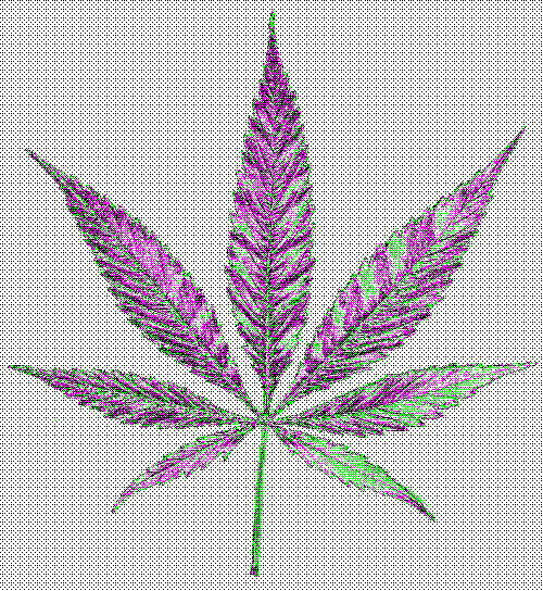 Marijuana Pot GIF Find & Share on GIPHY