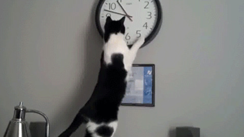 What Time it is ? best Gif