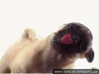 Licking Gif Find Share On Giphy