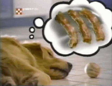 Ar Bacon GIF - Find & Share on GIPHY