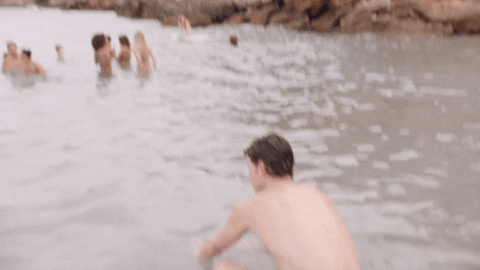 giphy.gif