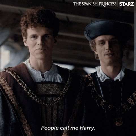 Henry Viii Starz GIF by The Spanish Princess