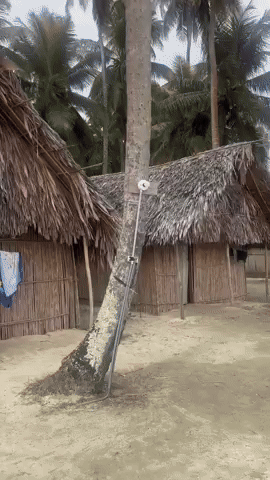 Cabana na Isla Aroma no Arquipélago de San Blas