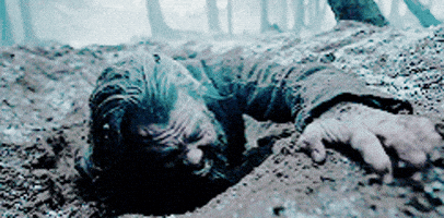 200.gif