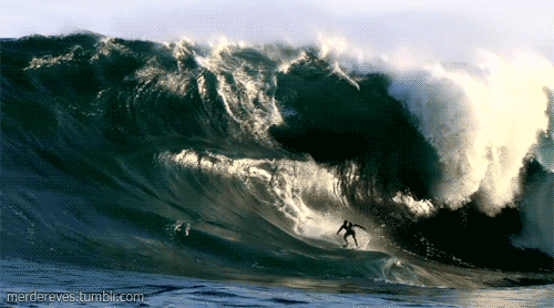 a surfer wiping out