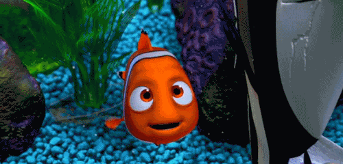Finding Nemo GIF - Find & Share on GIPHY