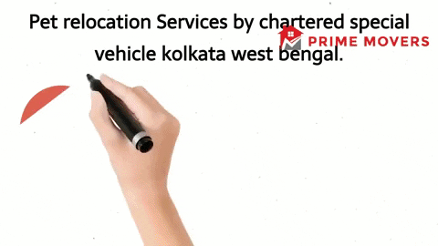 Pet transport service Kolkata