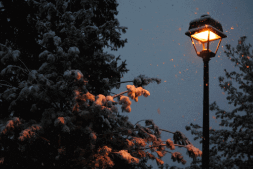 Christmas Snow GIF - Find &amp; Share on GIPHY