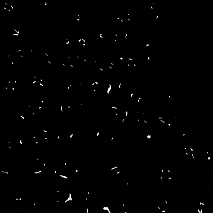 Tlc GIF Find & Share on GIPHY