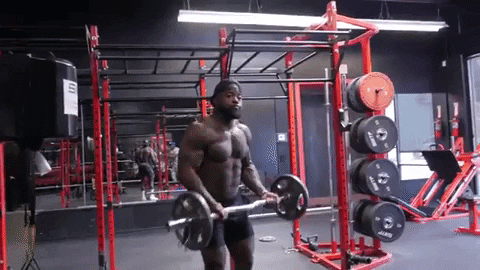 Mike Rashid Bicep Curls 